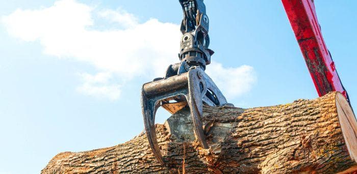 A crane picking up a tree